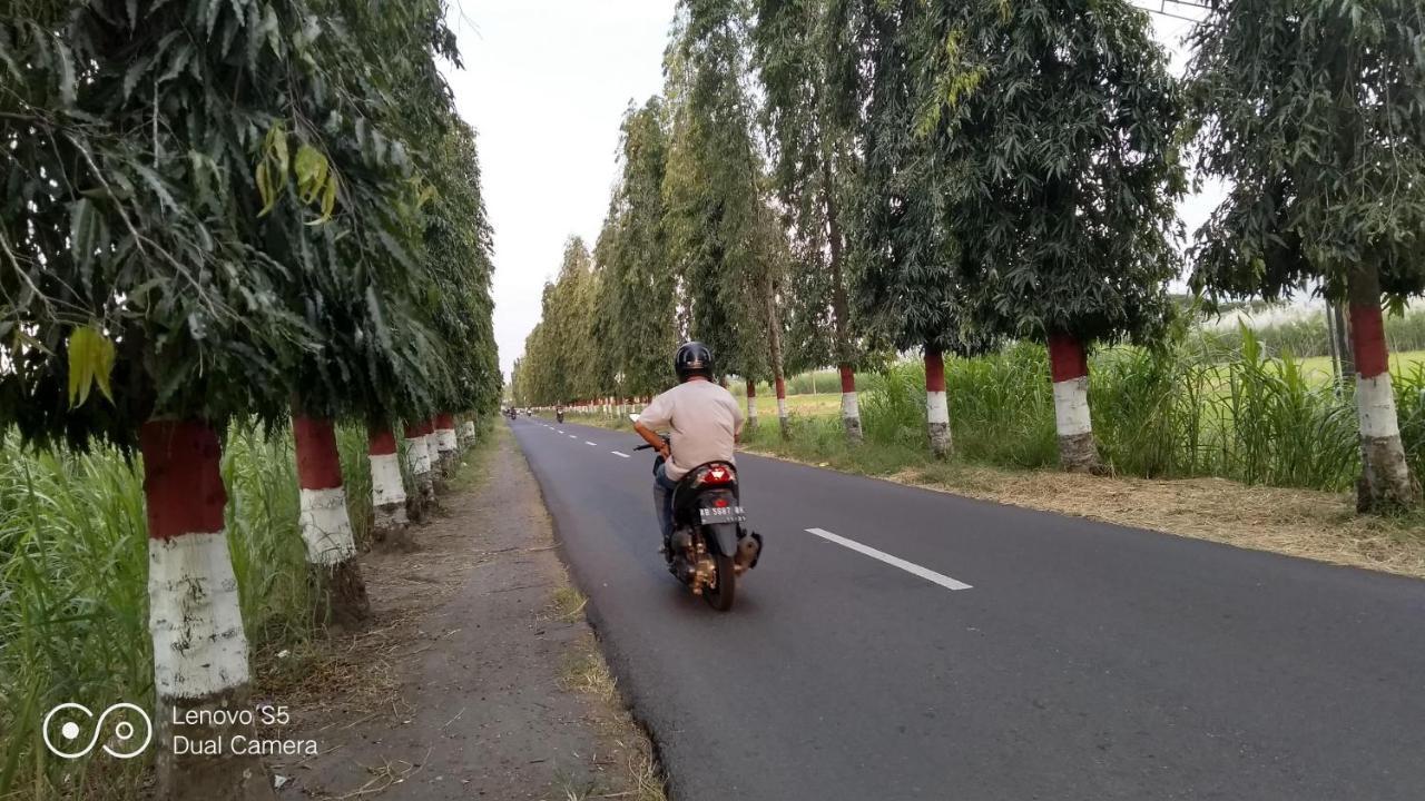 Rumah Singgah Peziarah Ganjuran Bantul Bagian luar foto