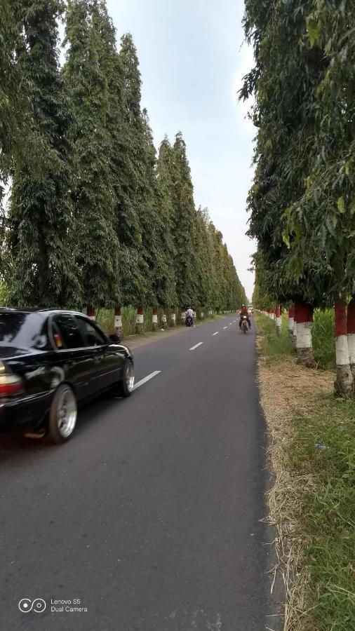 Rumah Singgah Peziarah Ganjuran Bantul Bagian luar foto